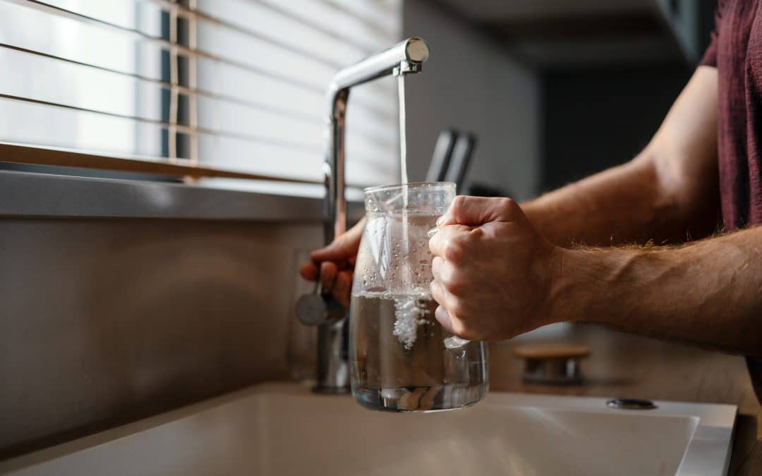 whole house water filtration worth it